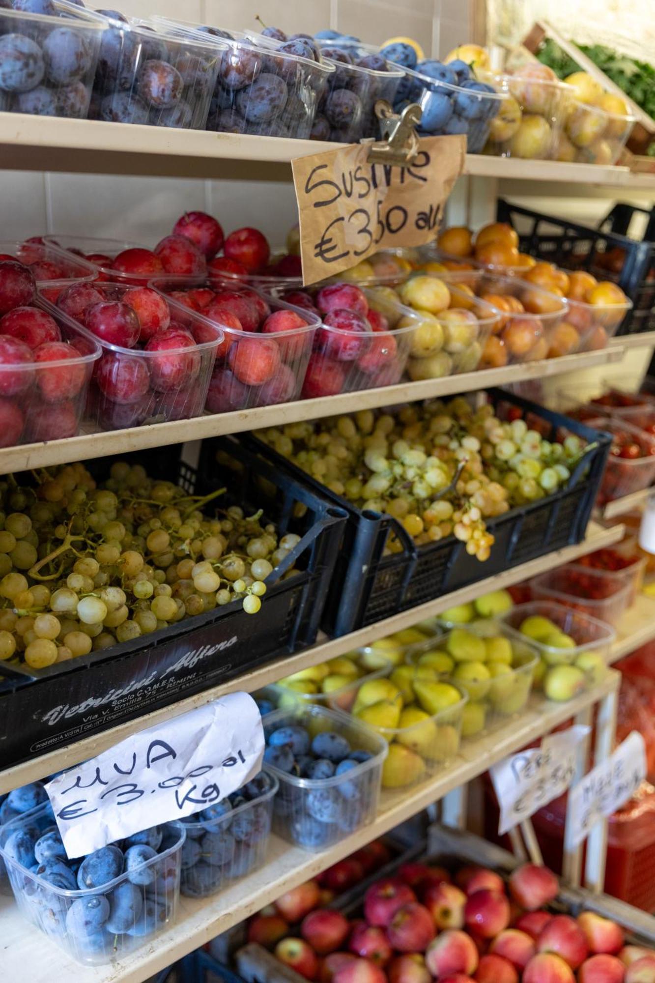 Bio Fattoria Mula D'Oro - Biofattoriamuladoro It - Organic Food, Nature & Relax Mulazzano Eksteriør billede