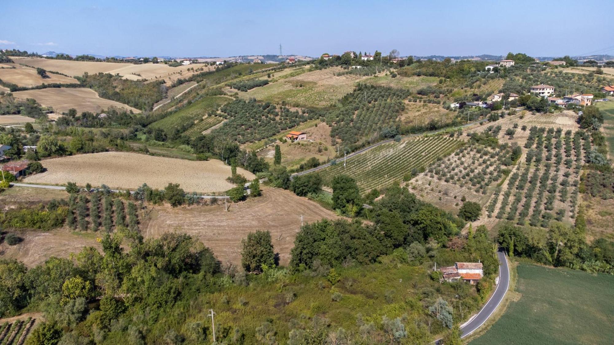 Bio Fattoria Mula D'Oro - Biofattoriamuladoro It - Organic Food, Nature & Relax Mulazzano Eksteriør billede