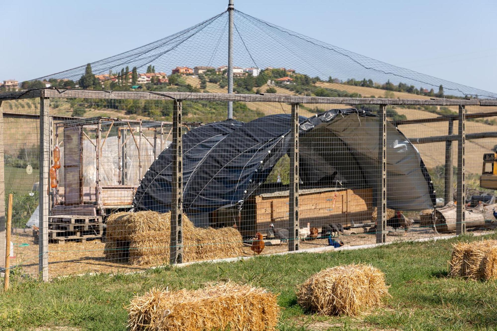 Bio Fattoria Mula D'Oro - Biofattoriamuladoro It - Organic Food, Nature & Relax Mulazzano Eksteriør billede